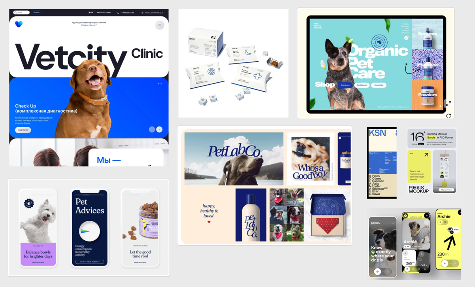 Brand audit of the existing Pawomics website and visual assets