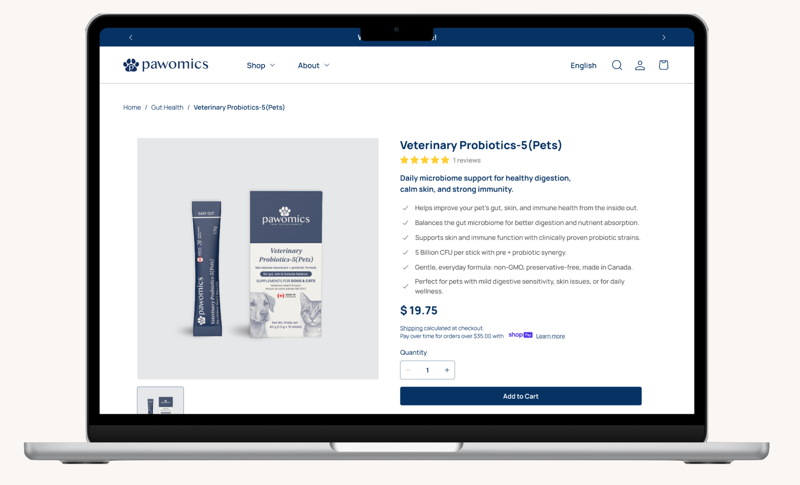 Key page design — product detail page